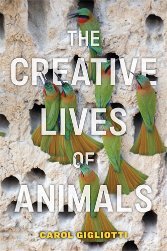 On the cover of The Creative Lives of Animals, green and red bowerbirds build a unique structure, which appears to be made of stone and filled with holes.